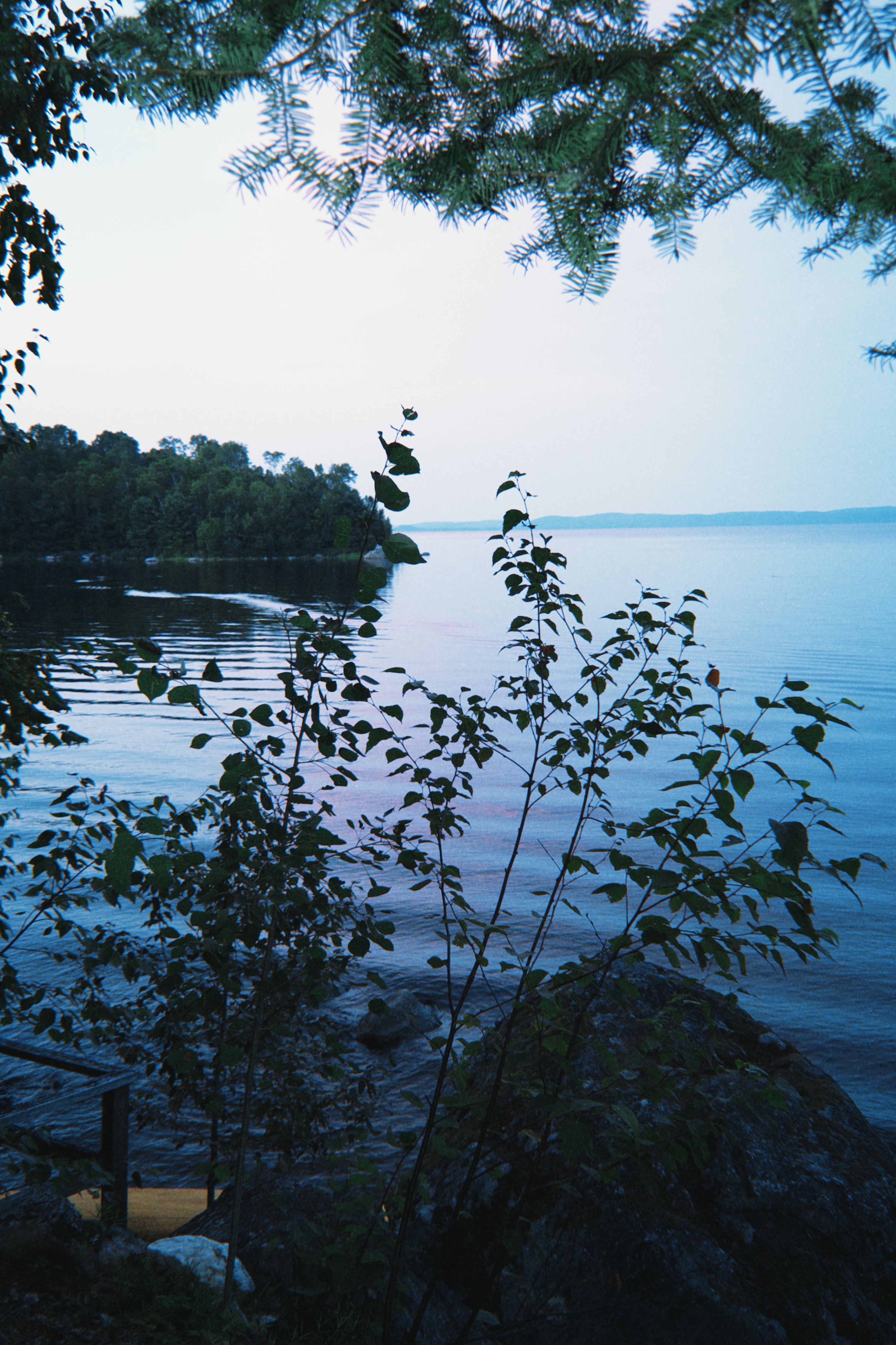 photograph by rachel gaskin