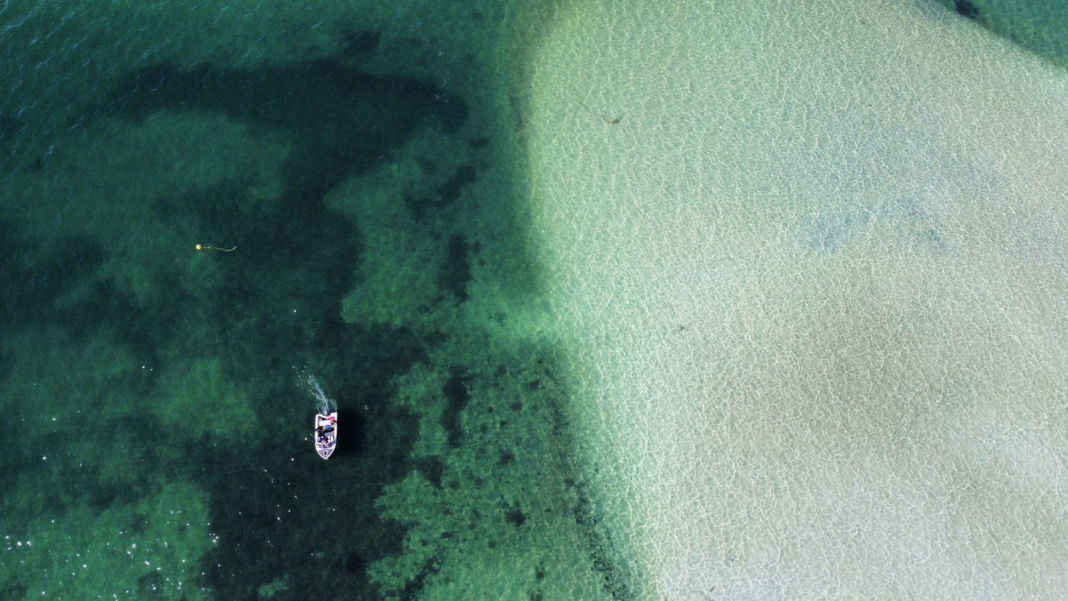 photograph by rachel gaskin