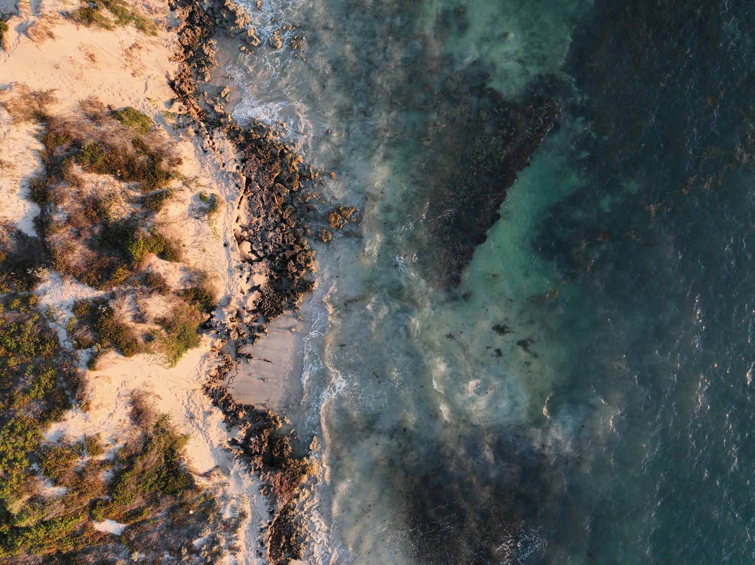 photograph by rachel gaskin