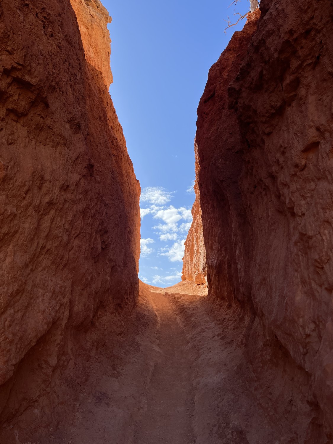 photograph by rachel gaskin