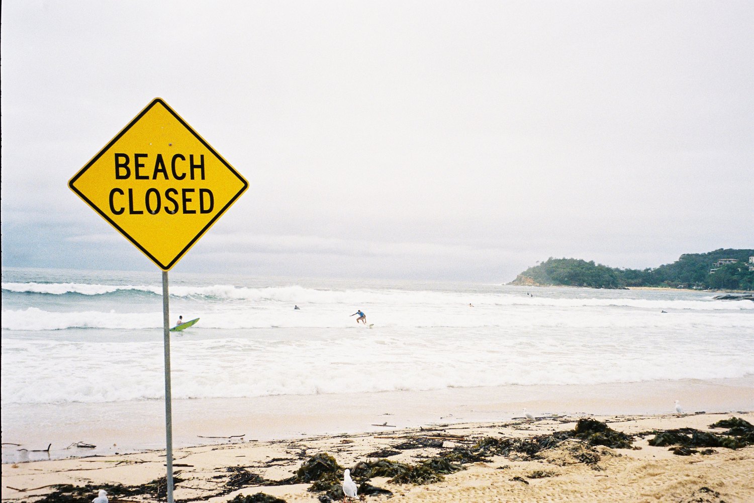 photograph by rachel gaskin