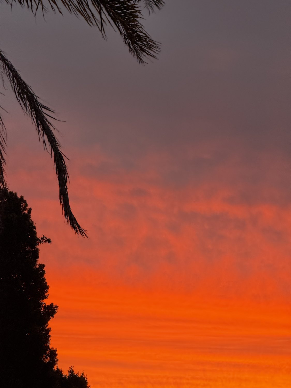 photograph by rachel gaskin