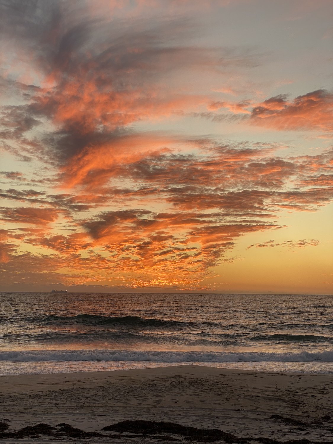 photograph by rachel gaskin