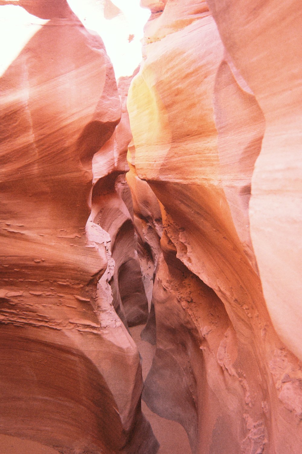 photograph by rachel gaskin